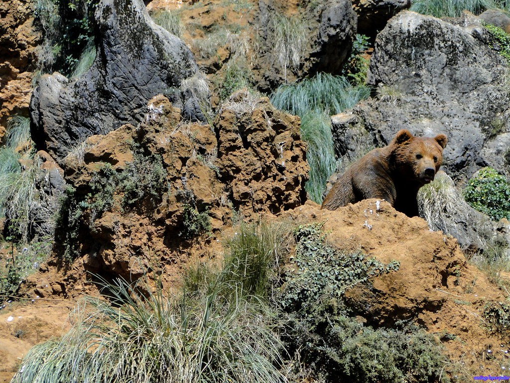 Santillana del Mar cerca de Cabárceno