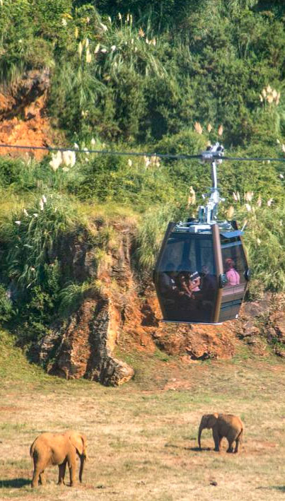 Teleférico del Parque de Cabárceno